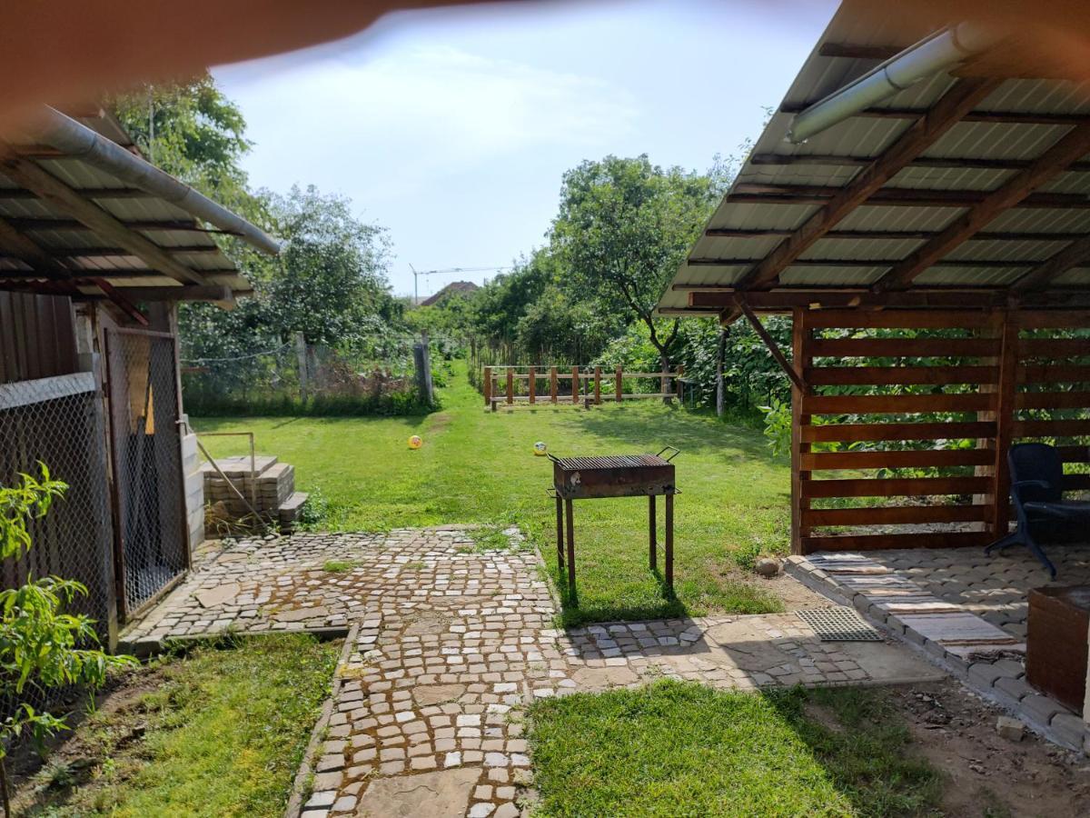 Vicky House Lägenhet Făgăraş Exteriör bild
