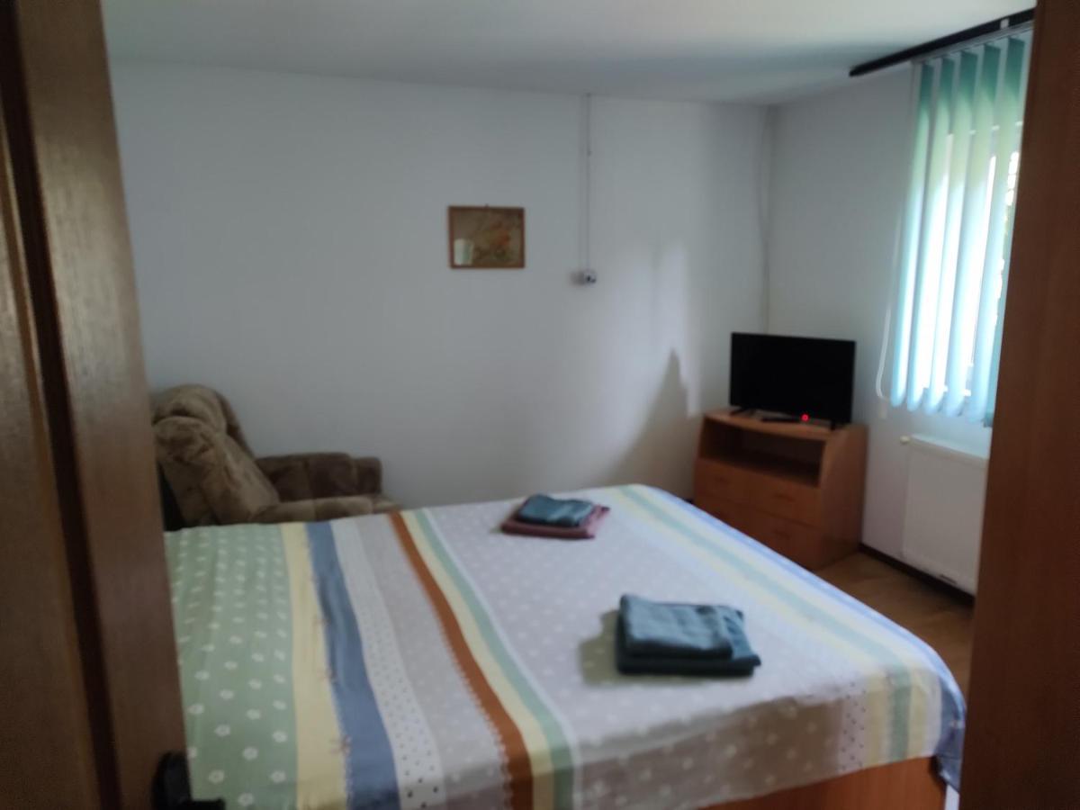 Vicky House Lägenhet Făgăraş Exteriör bild