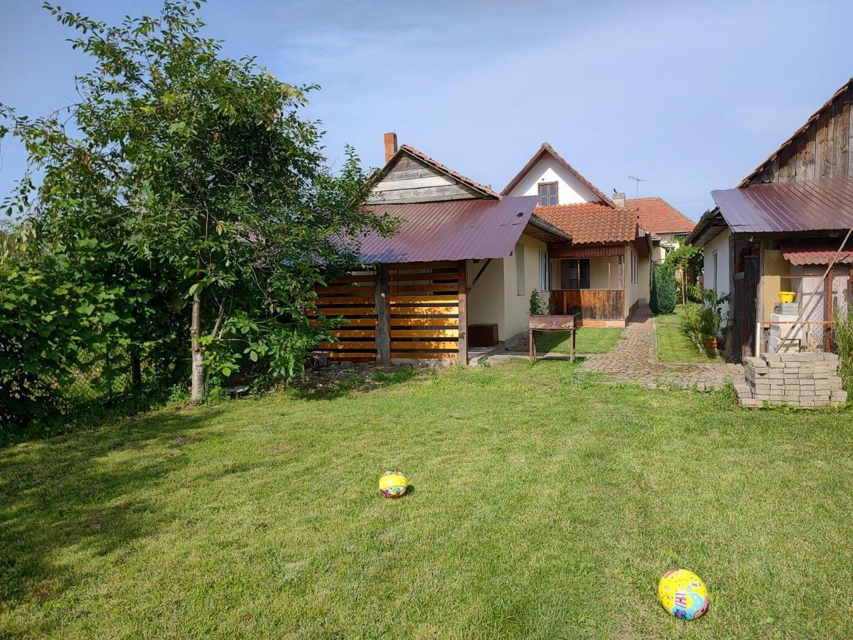 Vicky House Lägenhet Făgăraş Exteriör bild