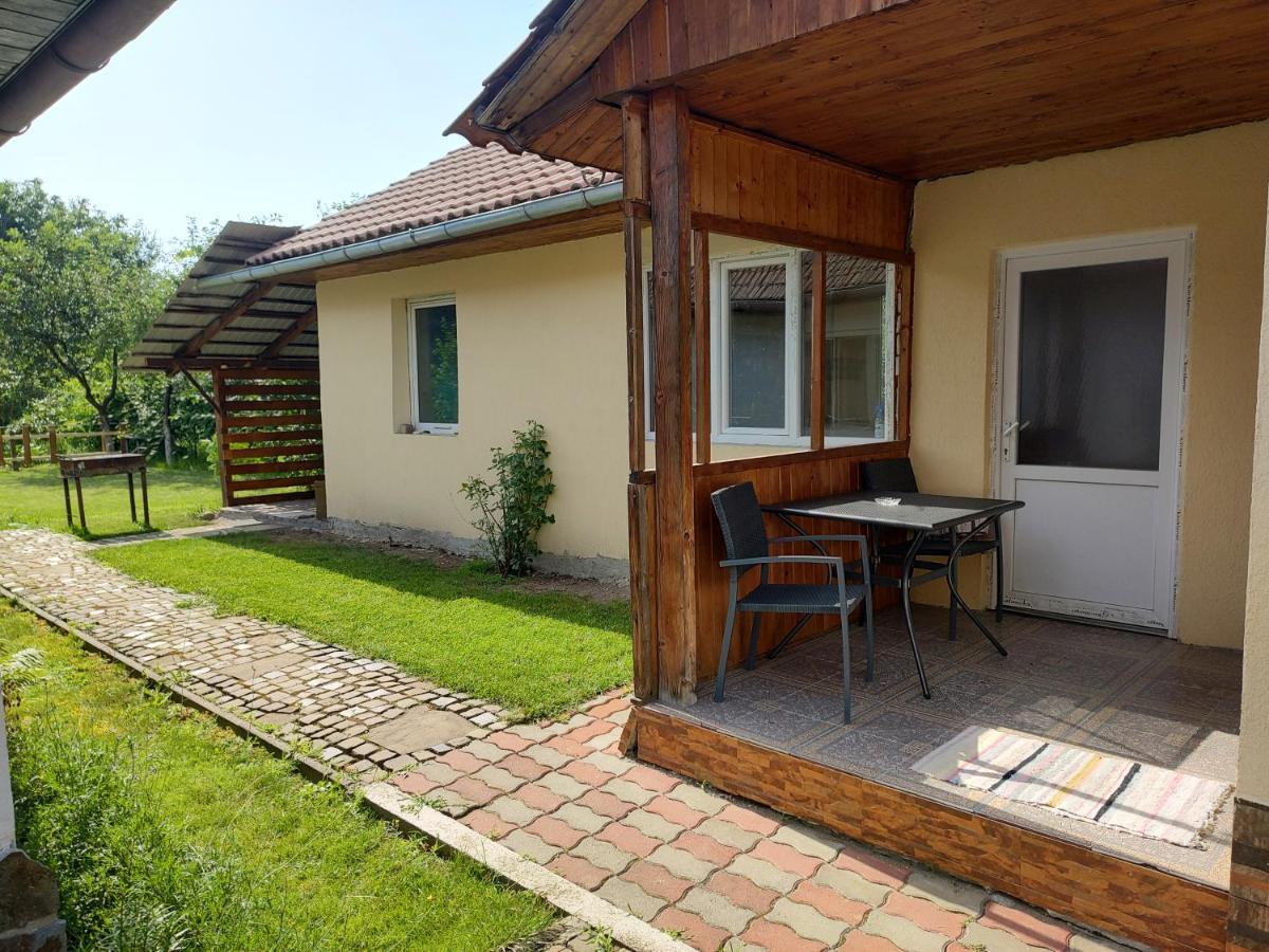 Vicky House Lägenhet Făgăraş Exteriör bild