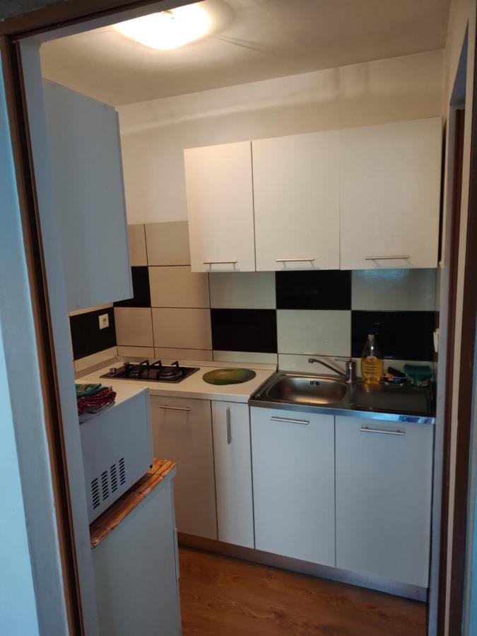 Vicky House Lägenhet Făgăraş Exteriör bild