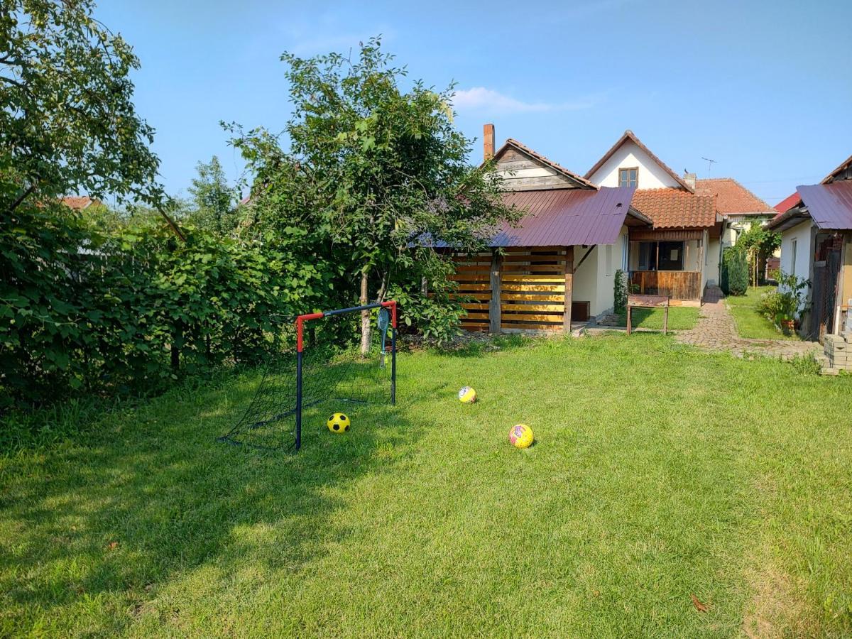 Vicky House Lägenhet Făgăraş Exteriör bild